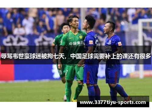 辱骂韦世豪球迷被拘七天，中国足球需要补上的课还有很多